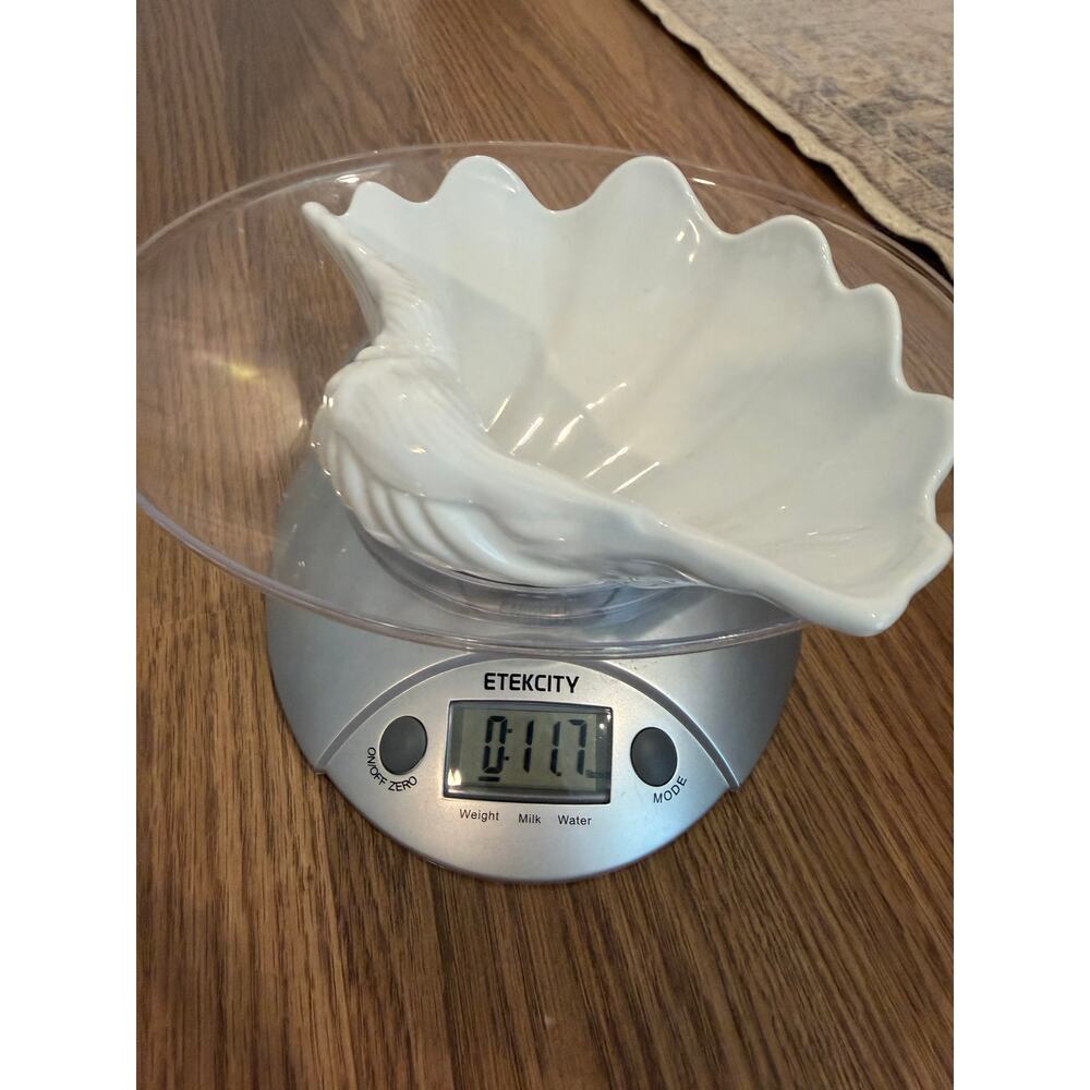 Ceramic White Shell Dish - Picture 5 of 5